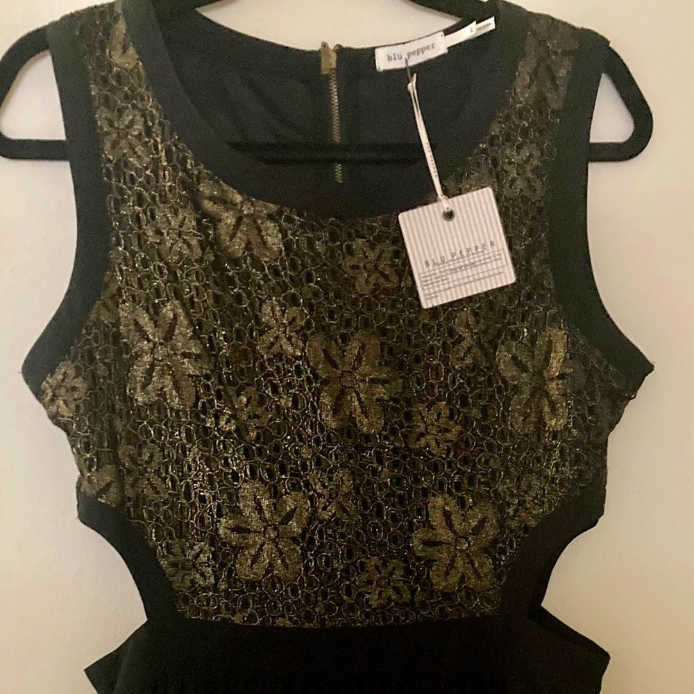 Blu Pepper Black Dress with Metallic Gold